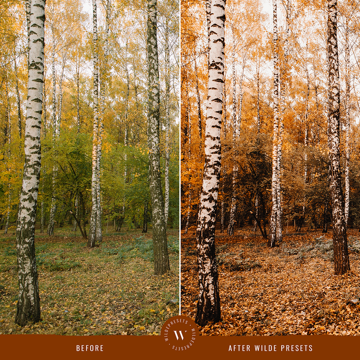 The Pumpkin Spice Preset Collection